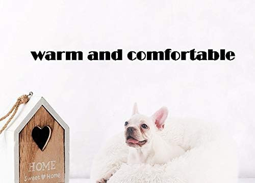 BODISEINT Modern Soft Plush Round Pet Bed for Cats or Small Dogs, Mini Medium Sized Dog Cat Bed Self Warming Autumn Winter Indoor Snooze Sleeping Cozy Kitty Teddy Kennel (20” D x 8'' H, White)