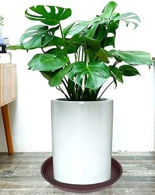 6 Pack of 7 inch Plant Saucer, Heavy Duty Plastic Plant Water Tray 7 inch Round, Flower Plant Saucers for Indoors No Holes, Plant Dishes Saucer for Planter 7"/8" (7", Chocolate)