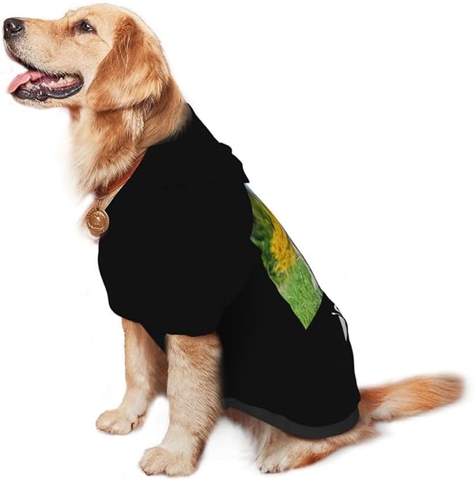 Custom Dog Hoodie Personalized Photo Text Logo Name Dog Clothes, Soft & Warm for Puppy Sweatshirt Hooded for Small Medium Large Dogs Girl/Boy Cats/Kitten, LawnGreen, M
