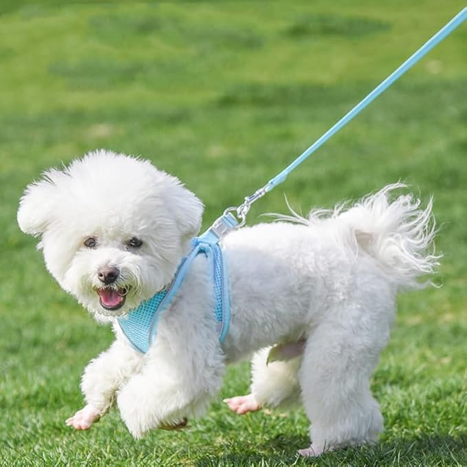 AIITLE Escape Proof Dog Harness - Step in Adjustable Dog Harness No Choke Over with Breathable Mesh and Quick-Release Buckle for All Weather- Outdoor Walking, Training for Medium Dogs Pure Blue XL