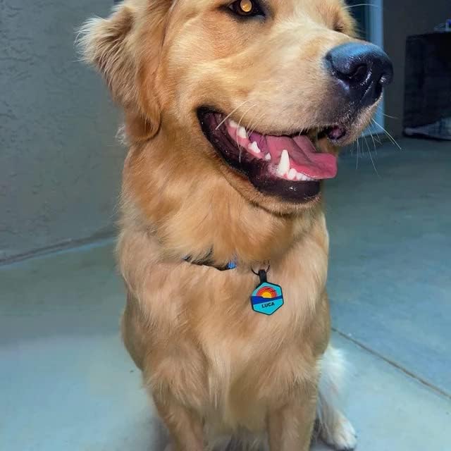 Silent Dog Tag Personalized with 5 Lines of Custom Deep Engraved Durable Soundless Silicone Pet ID Name Tag Round Beach Blue