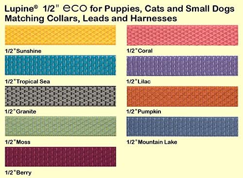 LupinePet Eco 1/2" Moss Cat Safety Collar with Bell , 8-12"