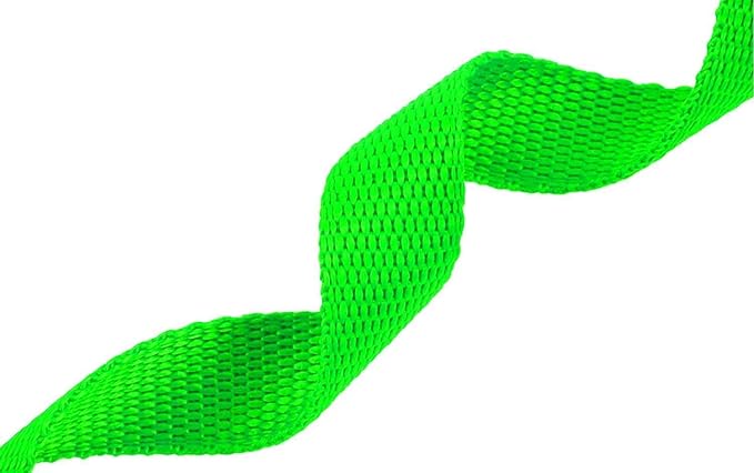 AMAGOOD Dog/Puppy Obedience Recall Training Agility Lead-15 ft 20 ft 30 ft 50 ft Long Leash-for Dog Training,Tie Out,Play,Safety,Camping (30Feet x 1Inch,Green)