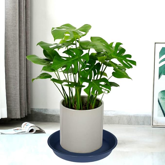 6 Pack of 7 inch Plant Saucer, Heavy Duty Plastic Plant Water Tray 7 inch Round, Flower Plant Saucers for Indoors No Holes, Plant Dishes Saucer for Planter 7"/8" (7", Blue)