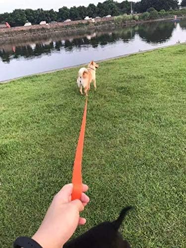 AMAGOOD Dog/Puppy Obedience Recall Training Agility Lead-15 ft 20 ft 30 ft 50 ft Long Leash-for Dog Training,Tie Out,Play,Safety,Camping (15Feet x 1Inch, Blue)