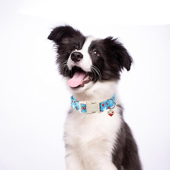 Valentines Dog Collar, Blue Heart Dog Collar, Cute Loving Heart Printed Collar with Quick Release Plastic Buckle for Boys&Girls Dogs, Small