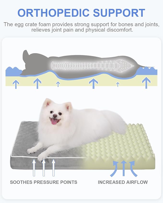 KSIIA Orthopedic Dog Bed for Small Dogs with Removable Machine Washable Cover Waterproof Crate Pad with Egg Crate Foam and Non-Slip Bottom, 23x17 Inch, Light Gray