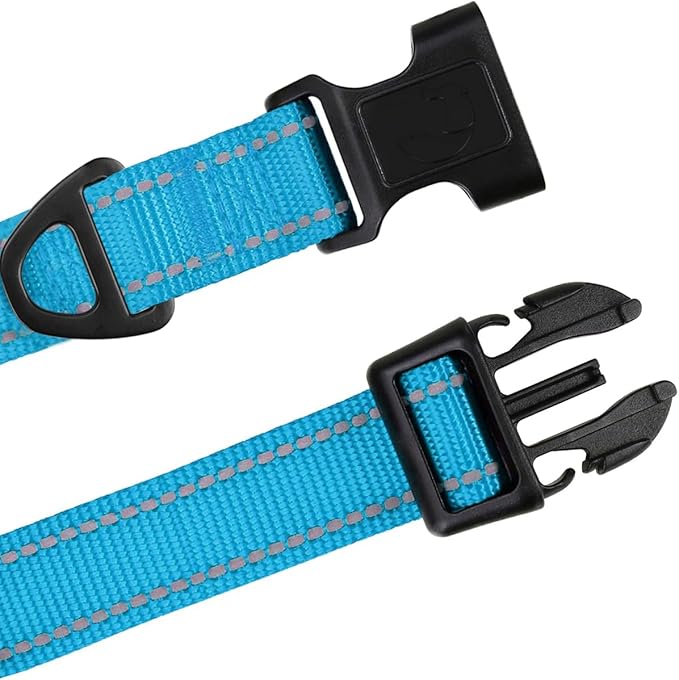 TagME Small Dog Collar, Adjustable Reflective Nylon Pet Collar with Quick Release Buckle, Sky Blue, 5/8" Width