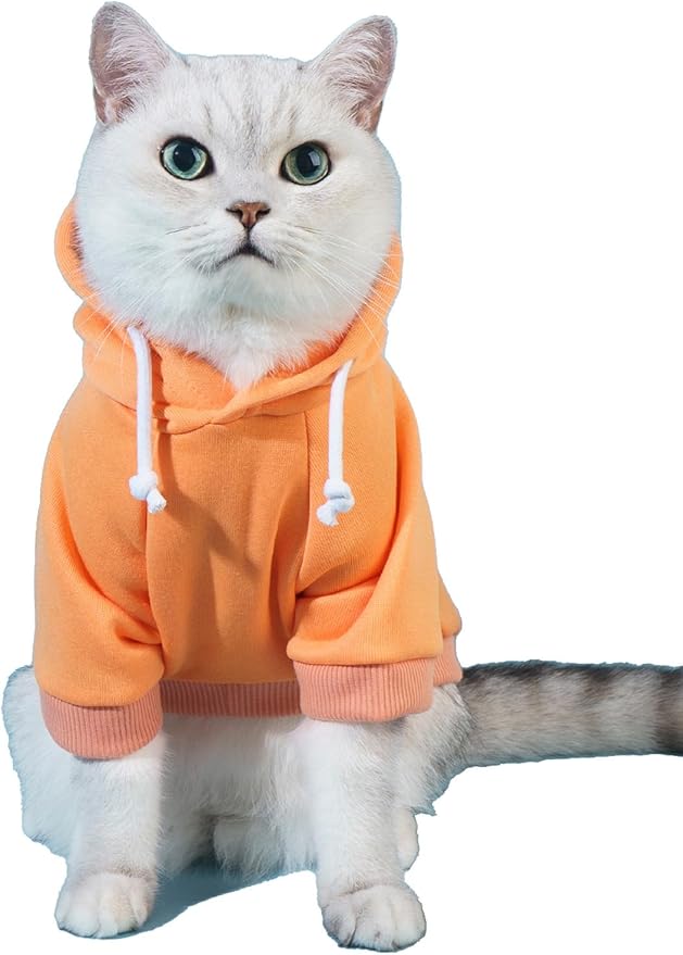 QWINEE Basic Dog Hoodie Sweatshirt Puppy Sweater Warm Cat Costumes Pet Clothes for Chihuahua Puppy Kitten Small Medium Dogs Orange Medium