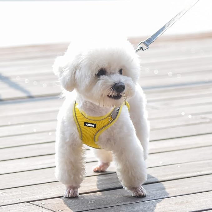 AIITLE Step in Dog Harness and Leash Set - No Pull Escape Proof Vest Harnesses with Soft Mesh and Reflective Bands, Adjustable Pet Outdoor Harnesses for Small and Medium Dogs Yellow M