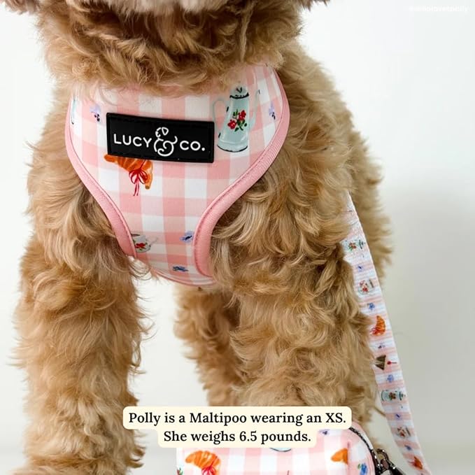 Lucy & Co. Sipping Slowly Reversible Dog Harness, Adjustable Comfort Fit with Dual Leash Attachments, Small