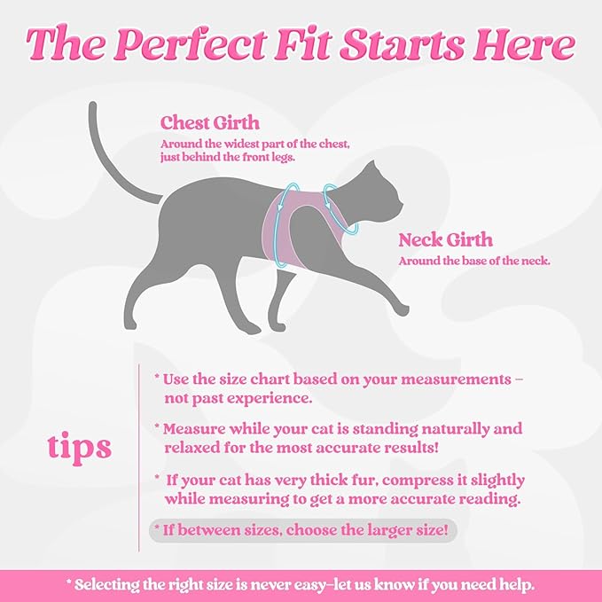 rabbitgoo Cat Harness and Leash Set for Walking Escape Proof, Adjustable Soft Kittens Vest with Reflective Strip for Cats, Comfortable Outdoor Vest, Pink, S