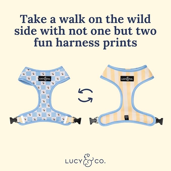 Lucy & Co. Bumbling Around Reversible Dog Harness, Adjustable Comfort Fit with Dual Leash Attachments, X-Small