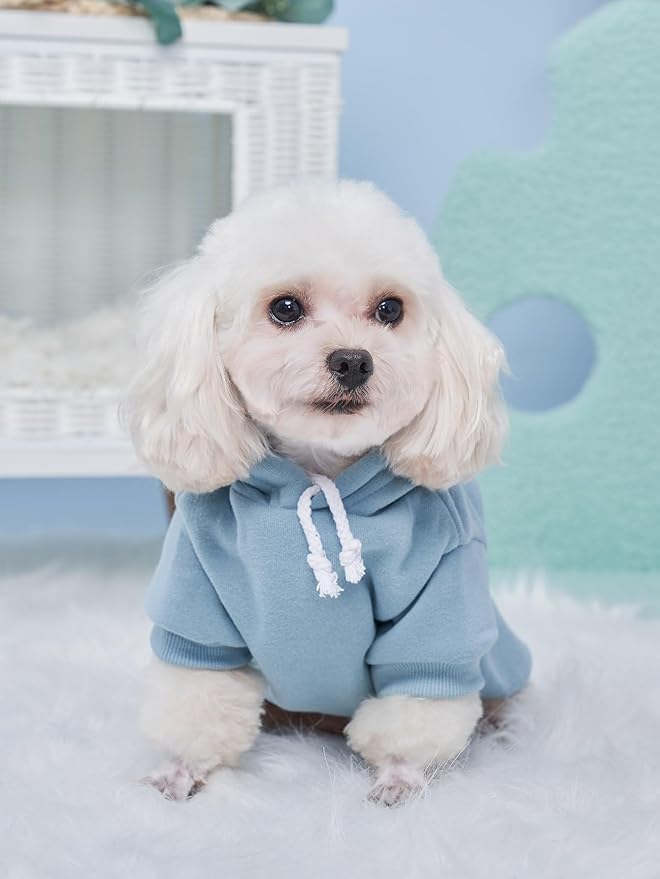QWINEE Basic Dog Hoodie Sweatshirt Puppy Sweater Warm Cat Costumes Pet Clothes for Chihuahua Puppy Kitten Small Medium Dogs Black Green and Grey Large
