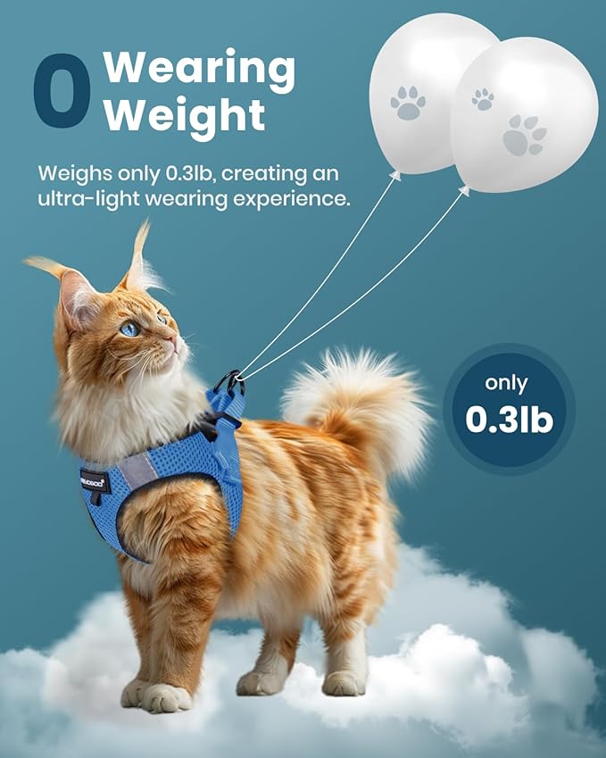FAYOGOO Cat Harness, Cat Leash and Harness Set for Walking Escape Proof, Harness for Small Cats/Small Dogs, Large Kitten/Puppy Harness and Leash, Harness for Cats S-XXL(Tranquil Teal, X-Large)