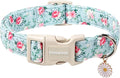 DOGWONG Floral Dog Collar, Cute Adjustable Flower Collar, Girl Female Dog Collar with Strong Plastic Buckle for Small Medium Large Dogs,S