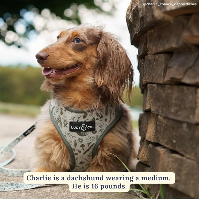 Lucy & Co. Cute Reversible Dog Harness Walking Halter - Best Designer Pet Harnesses for XS - XL Dogs - Padded Adjustable Vest for Easy Walking-Medium-Green Outdoor Plaid