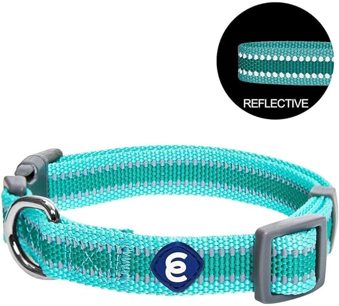 Blueberry Pet Essentials Matching Small Dog Collar | Adjustable Classic Solid Color Nylon Dog Collars for Small Dogs | Reflective Minty Green Dog Collar for Small Dogs