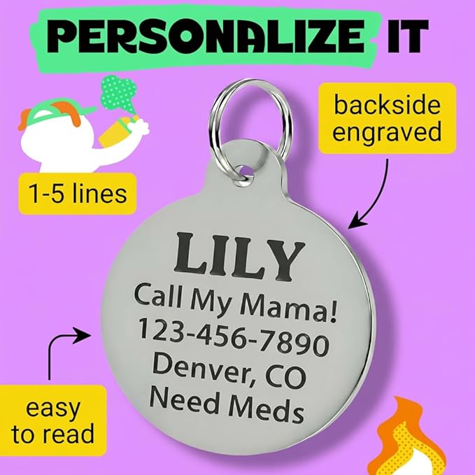 Bad Tags Personalized Dog and Cat ID Tags in 25+ Designs and 2 Sizes - 5 Lines of Custom Engraved Text - Funny Cute Personalized Pet Tags (Silently Judging - Green, Large (1.25 inch))