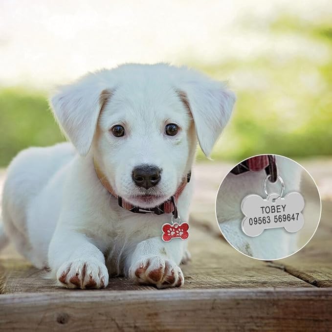 Personalized Dog Cute Paw Pet ID Tag for Pet Collar or Key Chain - Dog Name tag, cat Tags Personalized, cat id tag, Kitten Name tag, Kitten id tag (Bone-Shaped-Small: Red)