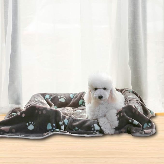 Allisandro Super Soft and Premium Fuzzy Flannel Fleece Pet Dog Blanket, The Cute Print Design Washable Fluffy Blanket for Puppy Cat Kitten Indoor Outdoor, Grey, 32 x 24 Inches