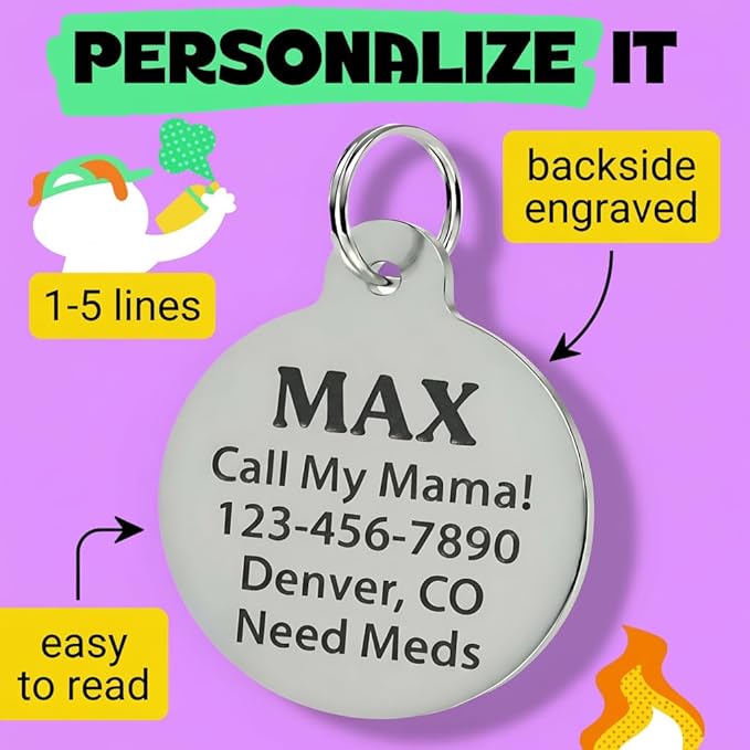 Bad Tags Personalized Dog and Cat ID Tags in 25+ Designs and 2 Sizes - 5 Lines of Custom Engraved Text - Funny Cute Personalized Pet Tags (Fetch These, Small (1 inch))