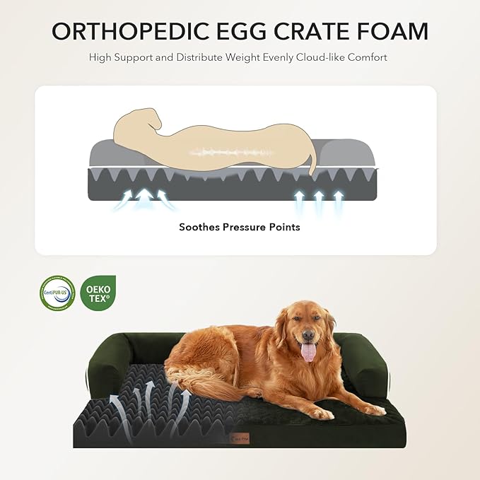 Orthopedic XXL Dog Beds, Waterproof Egg Crate Foam Big Pet Bed for All Breed Sized Dogs 53x42Inch, Washable Extra Large Dog Couch Bed with Removable Cover and Non-Slip Bottom, Olive Green