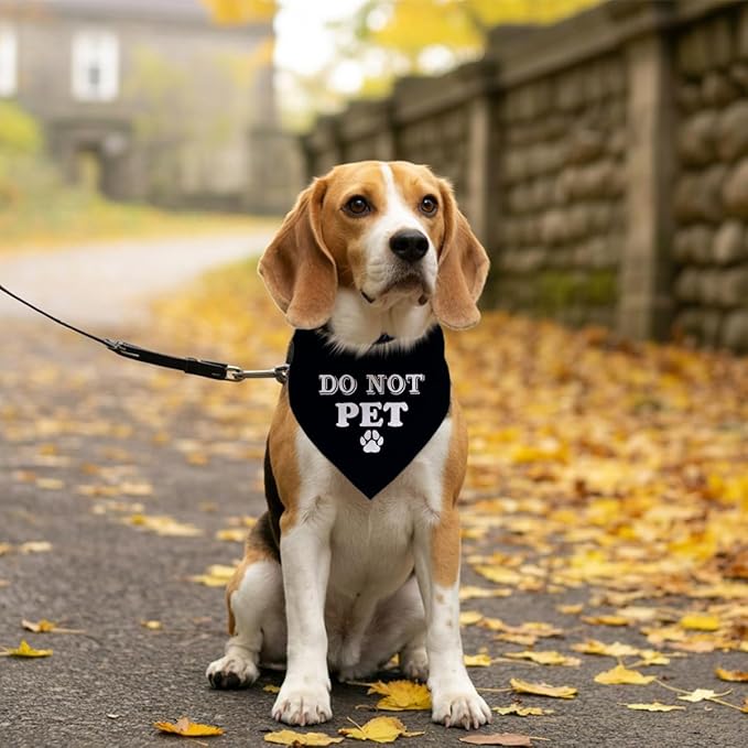 Do Not Pet Dog Bandana, Black Dog Bandana, Gift for Dogs Lover, Funny Cute Pet Triangle Scarf Accessories for Small Medium Large Dogs (D38)