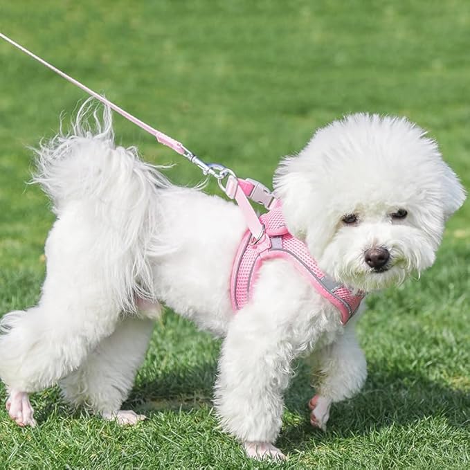 AIITLE Escape Proof Dog Harness - Step in Adjustable Dog Harness No Choke Over with Breathable Mesh and Quick-Release Buckle for All Weather- Outdoor Walking, Training for Medium Dogs Pure Pink XL