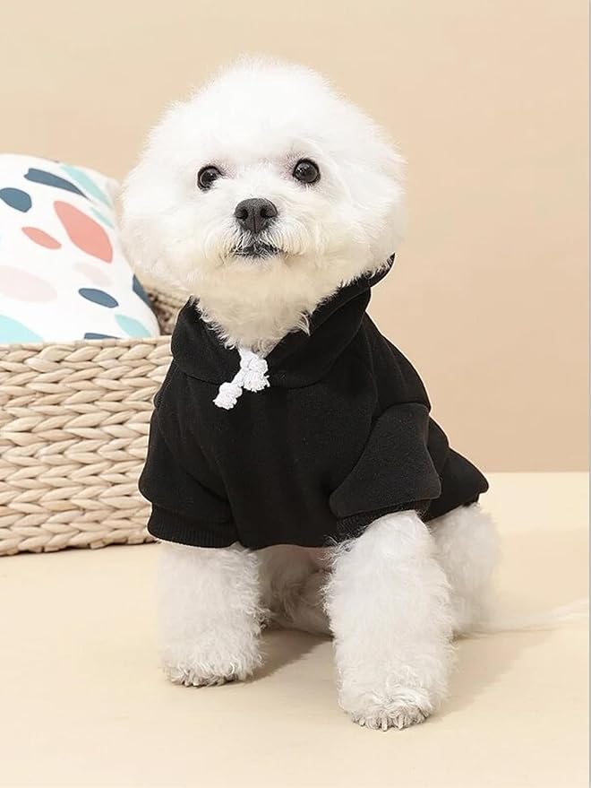 QWINEE Basic Dog Hoodie Sweatshirt Puppy Sweater Warm Cat Costumes Pet Clothes for Chihuahua Puppy Kitten Small Medium Dogs Multicolored Large