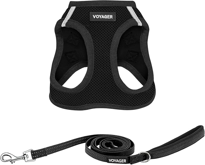 Best Pet Supplies Voyager Step-in Air All Weather Mesh Harness and Reflective Dog 5 ft Leash Combo with Neoprene Handle, for Small, Medium and Large Breed Puppies - Set (Black), M