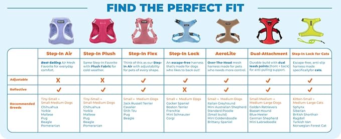 Voyager Escape-Proof Step-in Lock Cat Harness & 5ft Neoprene-Handle Leash Set All-Weather Mesh with Reflective Stitching for Small to Large Cats by Best Pet Supplies, Purple (327), XS