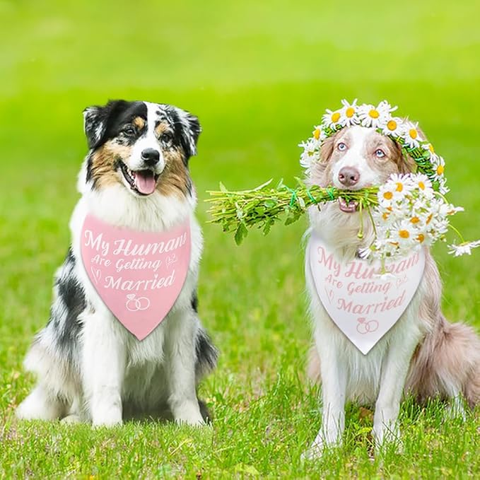 SZEE Bridal Shower Gifts for Bride, 2 Pack My Humans are Getting Married Dog Bandanas, Wedding or Engagement Gift for Couples, Dog Wedding Bandanas, Engagement Party Decorations (Pink & White, S)