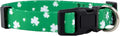 Native Pup St Patricks Dog Collar- Saint Patrick Green Shamrock Pet Collars- St. Patrick’s Lucky Irish- Cute Boy Girl Puppy Gift- Adjustable for Small, Medium, Large Breeds (Lucky Shamrock, Small)