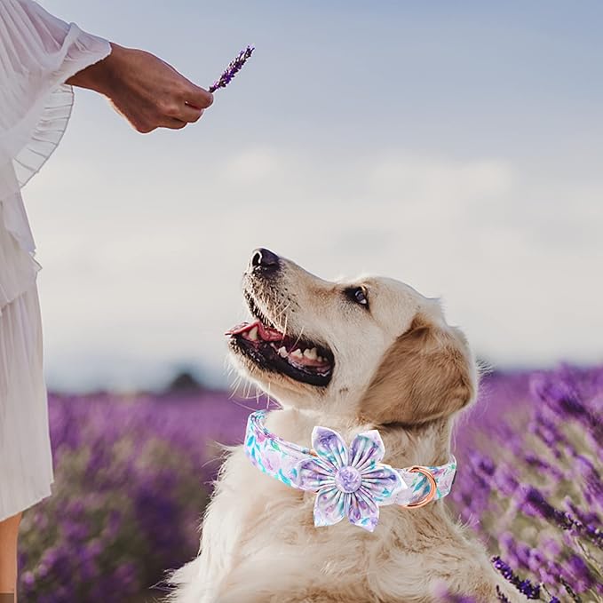 Lionheart Glory Cute Floral Pattern Adjustable Dog Collar for X-Small Dogs - Purple with Flower