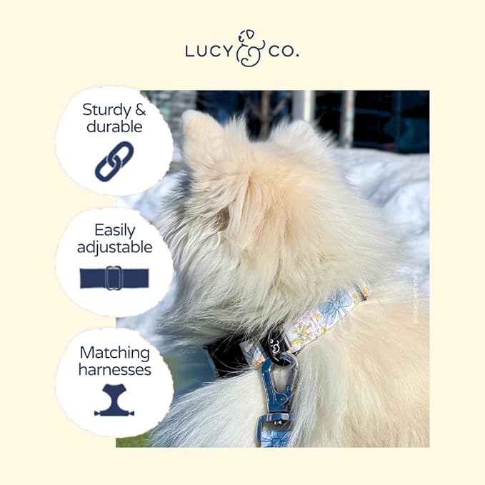 Lucy & Co. Sunshine and Daffodils Dog Collar, Adjustable Durable Dog Collar with Cute Print, Medium