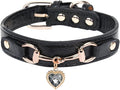 THAIN Fashion Dog Collar with Bling Diamonds & Heart Charm – 5 Holes Adjustable PU Leather Rhinestones Necklace Collar, Gold Buckle for Medium Dogs Girl boy (Black, M)