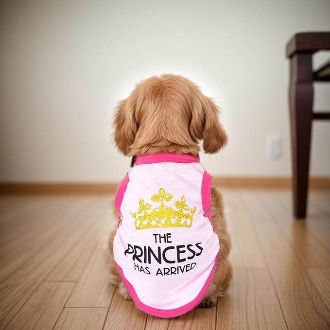 4 Pack Dog Shirts Summer Printed Puppy Clothes Cute Sleeveless Pet T Shirts Dog Clothes for Small Medium Dogs Cats Girl(XL)