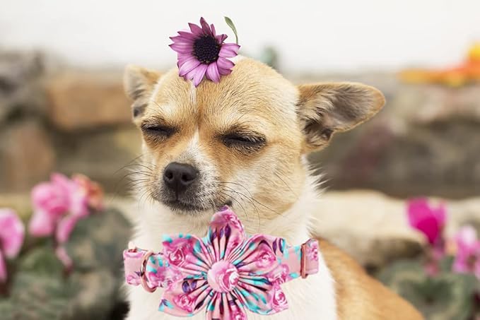 Lionheart Glory Dog Collar, Pink Dog Collar with Flower, Cute Floral Pattern Pet Collar Adjustable Dog Collar for X-Large Dogs