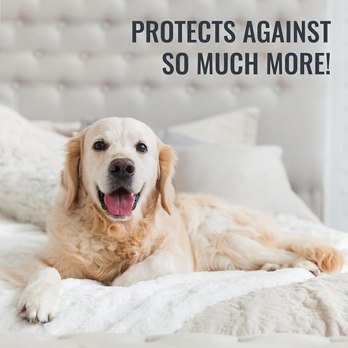 DMI Twin XL Waterproof Mattress Protector - Fitted, Noiseless Mattress Cover, Soft and Breathable, 39" x 80"x 12", White