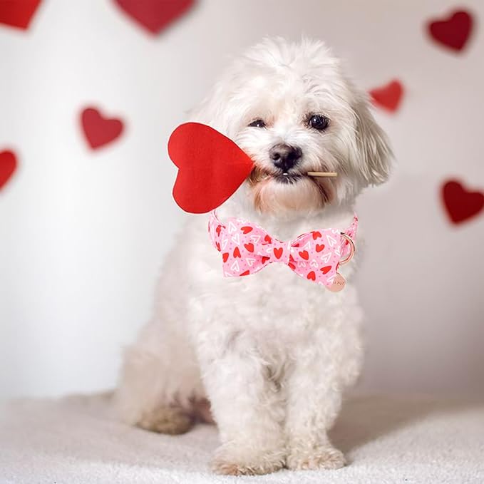 Valentine’s Day Dog Collar with Bow Tie, Red Heart Bowtie Collar with Metal Buckle, Valentine’s Day Gift Pet Collar for Puppy Girl Boy Dog or Cat, Wedding Dog Collar, XS, Neck 8-12in