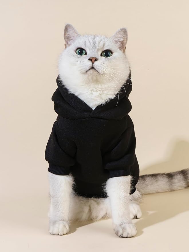 QWINEE Cartoon Bear Print Cat Hoodie Breathable Stretchy Sweatshirts with Hat Warm Cat Clothes for Small Medium Large Cats Dogs Multicolor XXS