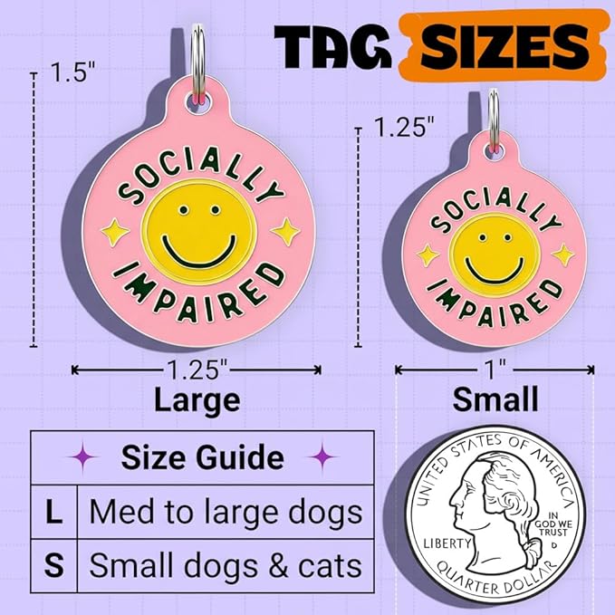 Bad Tags Personalized Dog and Cat ID Tags in 25+ Designs and 2 Sizes - 5 Lines of Custom Engraved Text - Funny Cute Personalized Pet Tags (Socially Impaired - Pink, Large (1.25 inch))