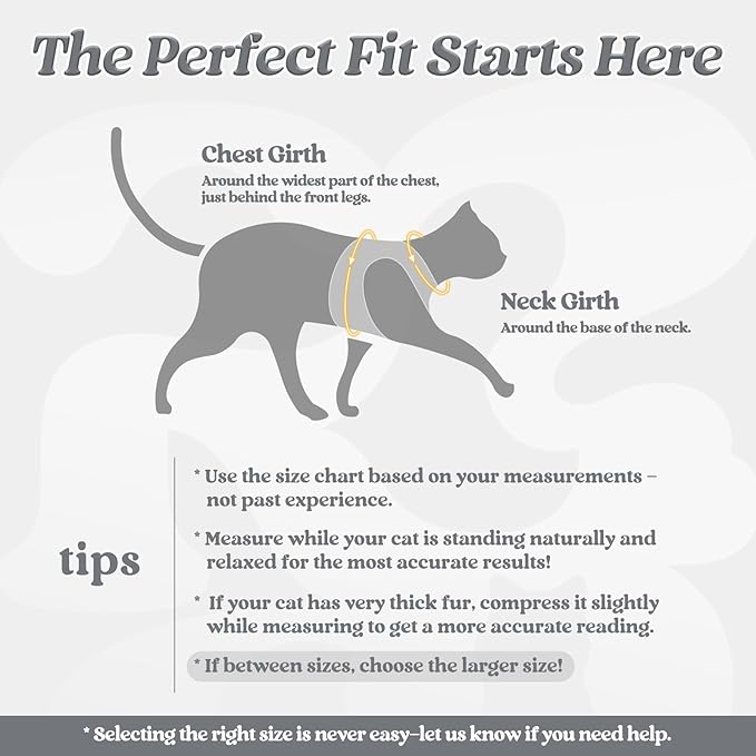 rabbitgoo Cat Harness and Leash Set for Walking Escape Proof, Adjustable Soft Kittens Vest with Reflective Strip for Cats, Comfortable Outdoor Vest, Grey, S