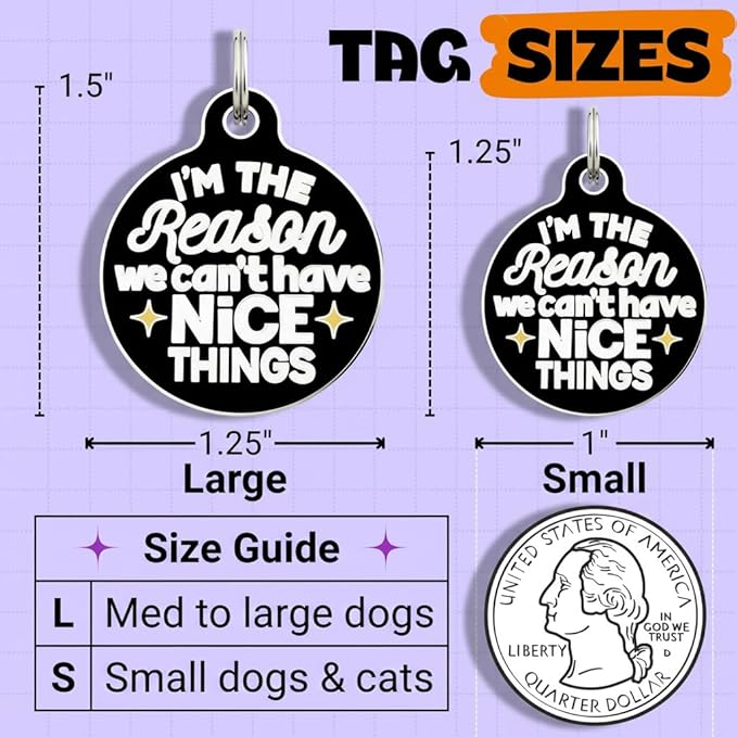 Bad Tags Personalized Dog and Cat ID Tags in 25+ Designs and 2 Sizes - 5 Lines of Custom Engraved Text - Funny Cute Personalized Pet Tags (I'm The Reason We Can't Have Nice Things, Small (1 inch))