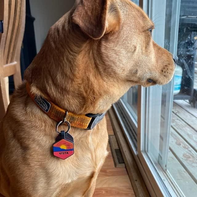 Silent Dog Tag Personalized with 5 Lines of Custom Deep Engraved Durable Soundless Silicone Pet ID Name Tag Round Mountain Orange