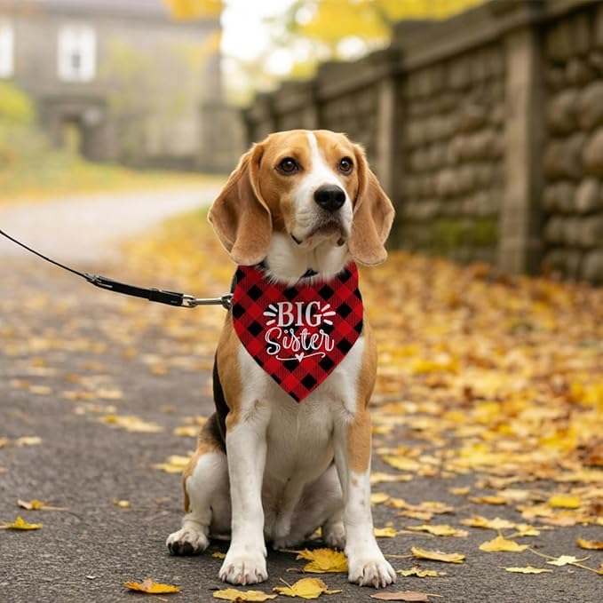 Big Sister Buffalo Plaid Plaid Plaid Blue Camo Pet Scarf Dog Bandana Accessories Poppy For Small Medium Large Gift, Puppy Announcement Dog, (B16)