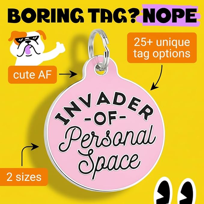 Bad Tags Personalized Dog and Cat ID Tags in 25+ Designs and 2 Sizes - 5 Lines of Custom Engraved Text - Funny Cute Personalized Pet Tags (Invader of Personal Space - Pink, Large (1.25 inch))