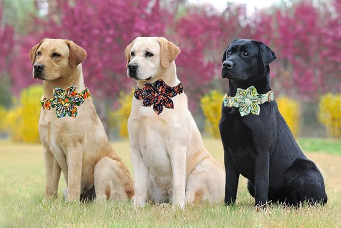 Lionheart Glory Dog Collar, Dog Collar with Flower, Cute Lemon Floral Pattern Pet Collar Adjustable Dog Collar for Large Dogs