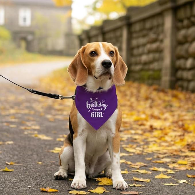Birthday Girl Dog Bandana - Purple Triangle Scarf for Small Medium Large Dogs - Funny Cute Pet Accessory - Gift for Dog Lovers (D32)